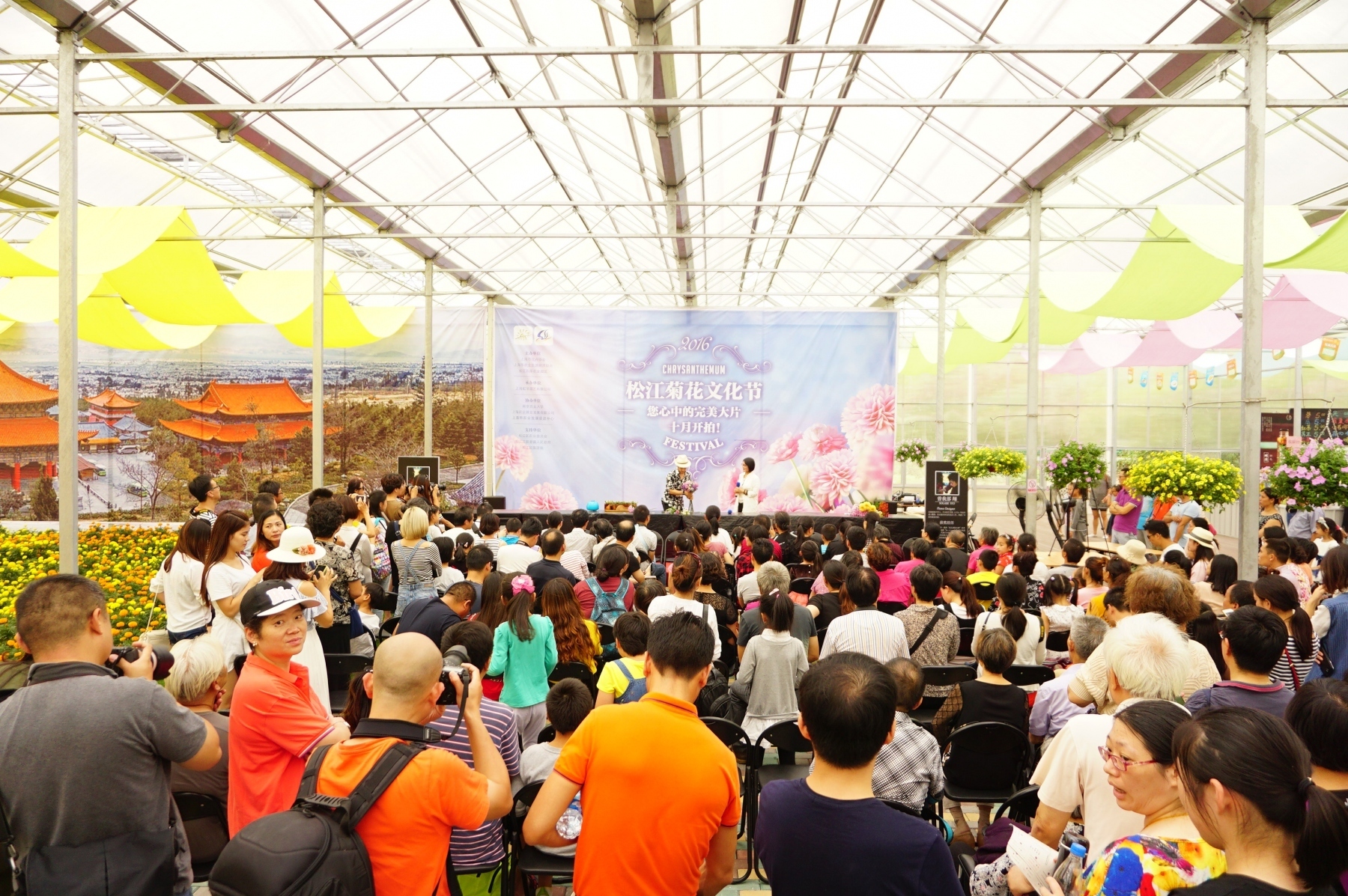10.6-「菊-festival」01 10.6-「菊-festival」01