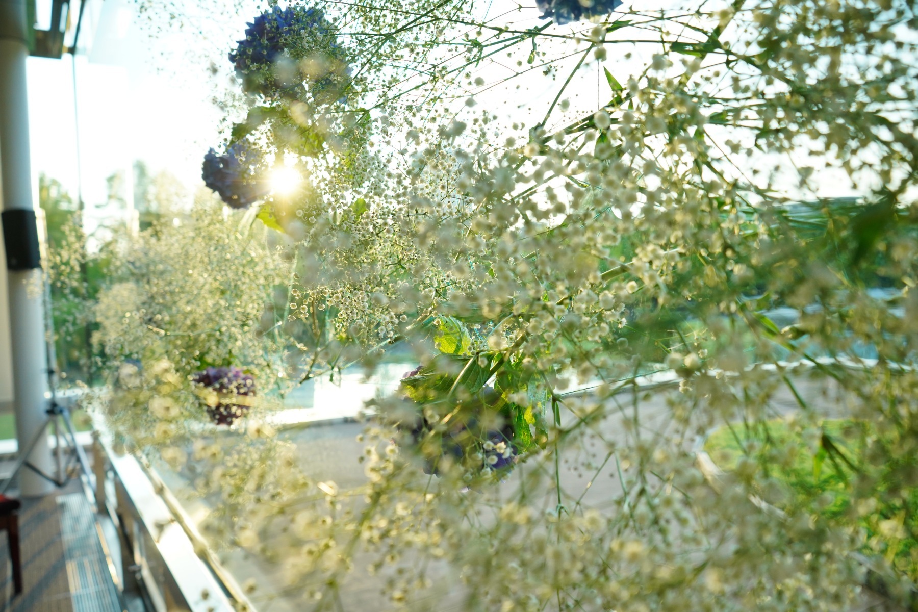 DSC00583 DSC00583