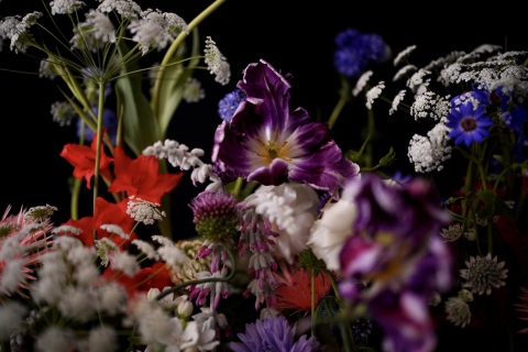 DSC07566