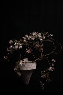 DSC00992