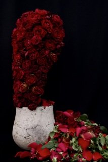 DSC07718